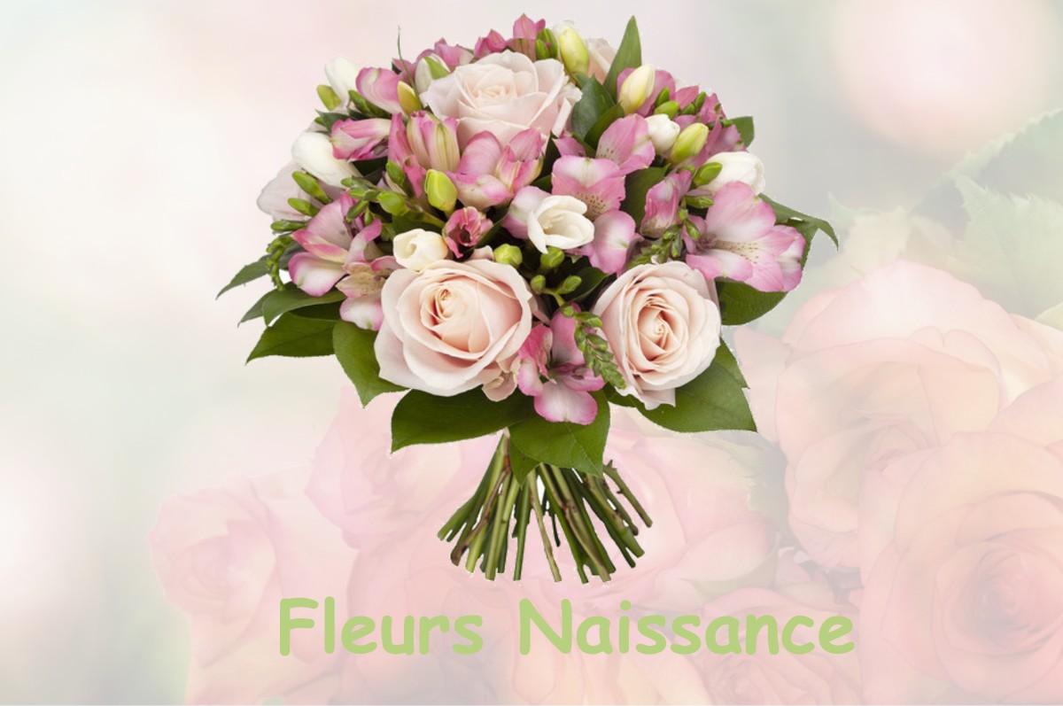 fleurs naissance CAP-D-AIL