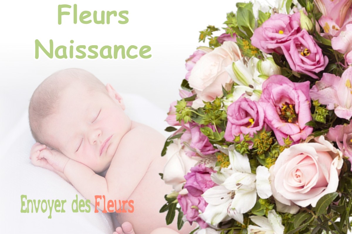 lIVRAISON FLEURS NAISSANCE à CAP-D-AIL